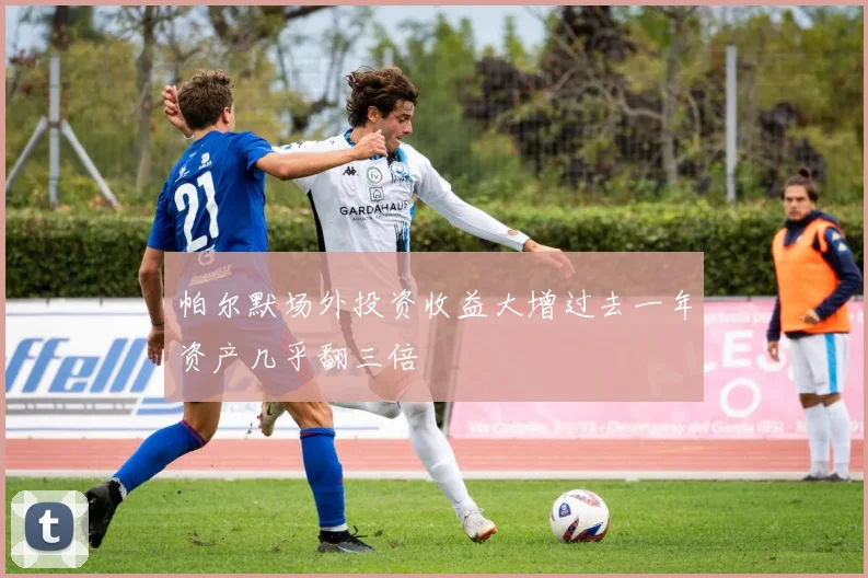 帕尔默场外投资收益大增过去一年资产几乎翻三倍