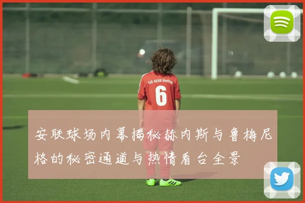 安联球场内幕揭秘赫内斯与鲁梅尼格的秘密通道与热情看台全景