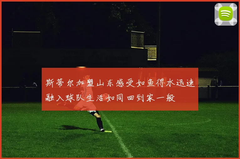 斯蒂尔加盟山东感受如鱼得水迅速融入球队生活如同回到家一般