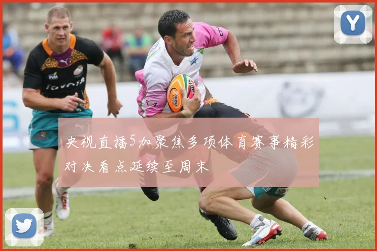 央视直播5加聚焦多项体育赛事精彩对决看点延续至周末