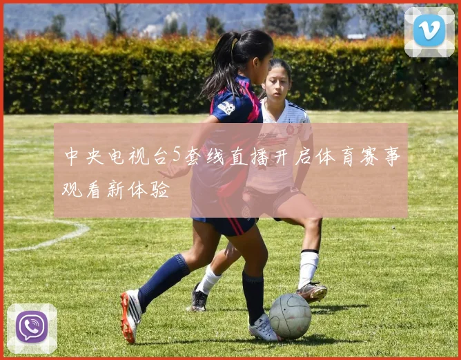 中央电视台5套线直播开启体育赛事观看新体验